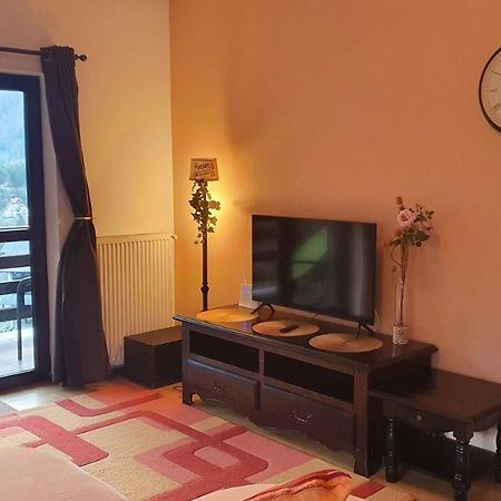 Relaxing Balcony Apartment Sinaia Exterior photo