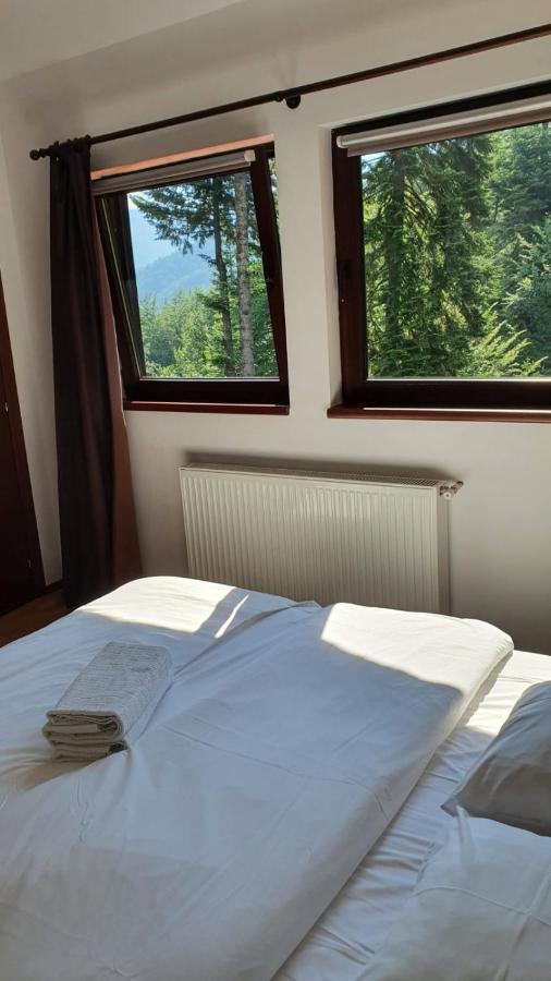 Relaxing Balcony Apartment Sinaia Exterior photo