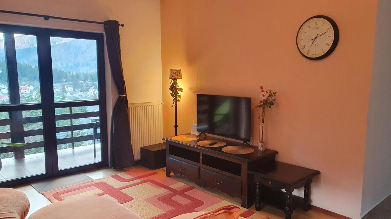Relaxing Balcony Apartment Sinaia Exterior photo