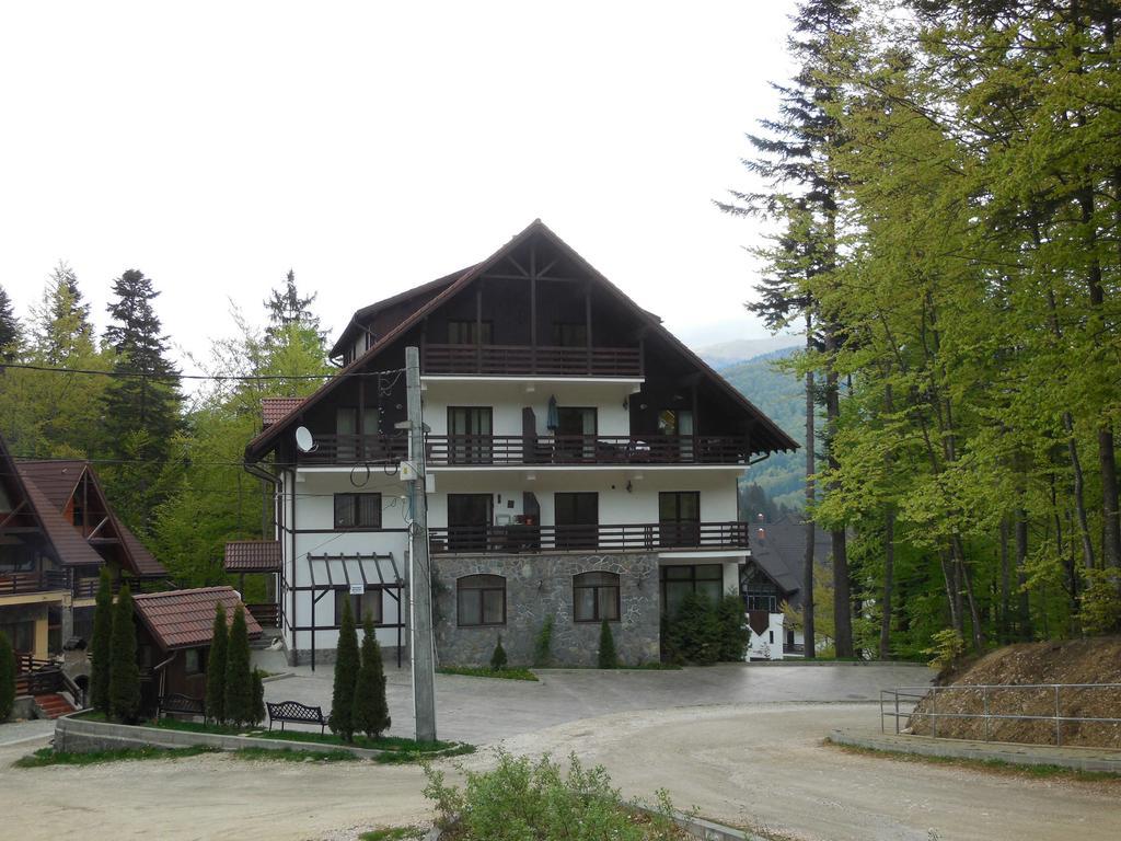 Relaxing Balcony Apartment Sinaia Exterior photo